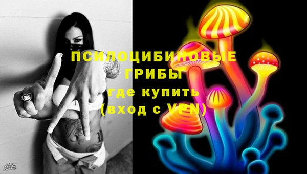 молекула духа Арсеньев