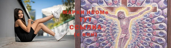 молекула духа Арсеньев