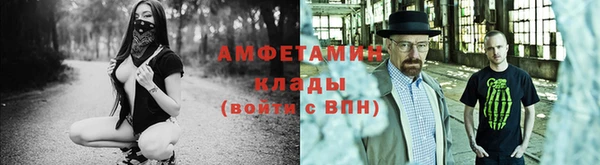 молекула духа Арсеньев