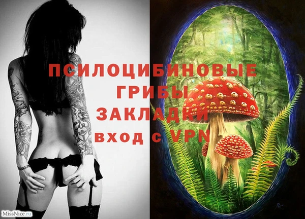 молекула духа Арсеньев