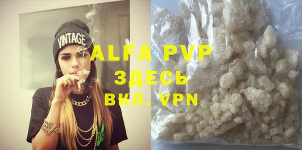 молекула духа Арсеньев
