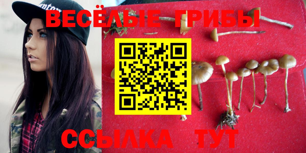 Кирово-Чепецк  Галлюциногенные грибы ЛСД  Галлюциногенные грибы GOLDEN TEACHER  Вход с VPN 